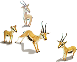 antelopes.png