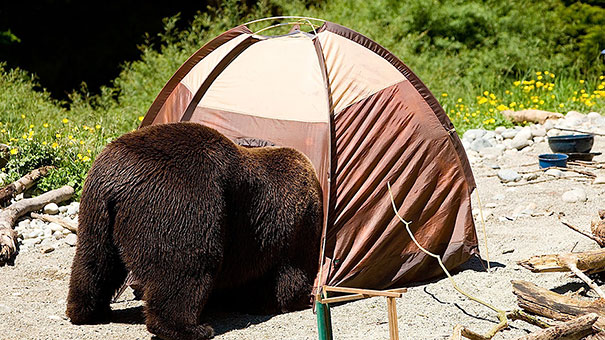 beer en tent.jpg