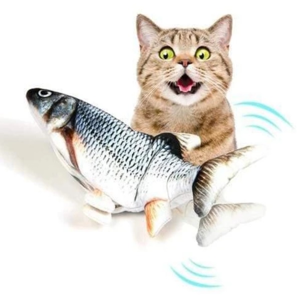 cat and fish.jpg