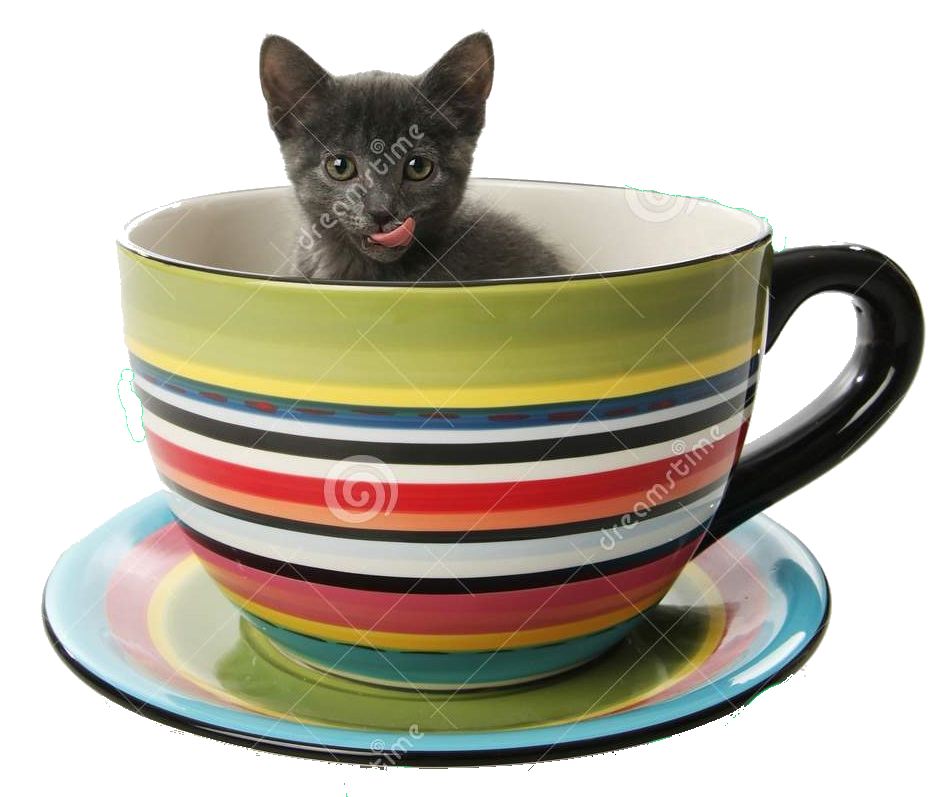 cat in mug.png
