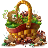 countryjan2019basket3_big.png