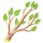 countryjan2019branch_icon_small.png