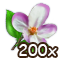 countrylayerjul2018blossom_200.png