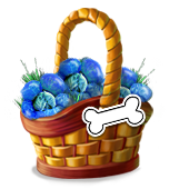 dogtrainingmay2017basket1_big.png