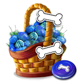 dogtrainingmay2017basket2_big.png