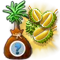 durian-plus_icon_big.png