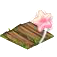 eventplayfieldmay2019balloonflowers.png