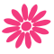 gerbera_icon_big.png