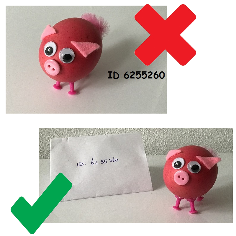 goedfoutpaaseiknor.png
