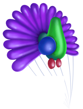 neonballoon_peacock_1.png