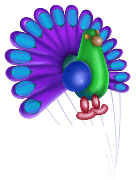 neonballoon_peacock_3.png