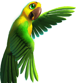 parrot 1.png