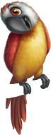 parrot 8.png