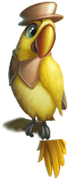 parrot 9.png