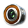 safarinov2018objective_icon_small.png