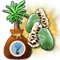 secretseedling7071dec2018_baha_pawpaw_plus_icon_big.png